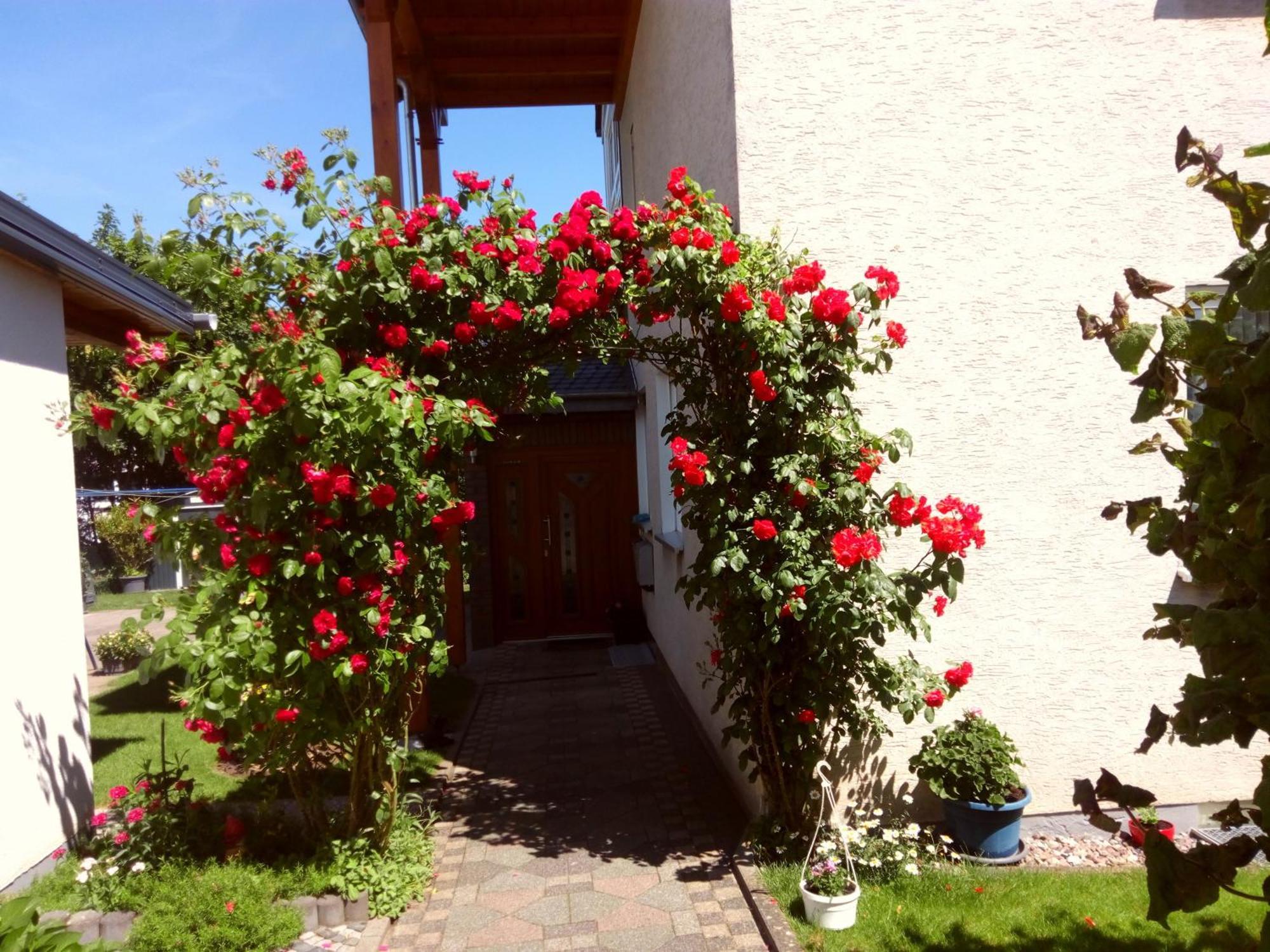 Fewo Rasche Zum Traeumen Beverungen Extérieur photo